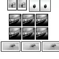 Black and White Landscape Paintings Collection With Various Natural Scenes And Art Views