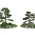 Elegant Pine Tree Landscape Design With Green Shrubs And Decorative Stones