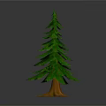Natural Evergreen Pine Tree With Green Foliage And Brown Trunk Base
