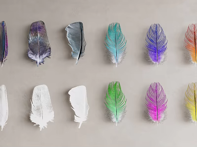 Colorful Feather Decorative Ornament Set With Various Colors For Home Decoration 3d model