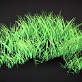 Green Grass With Slender Leaves And Lush Dense Growth In 3D Rendering