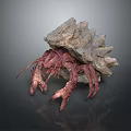 Turtle Cartoon Turtle Snapping Turtle Chickbill Turtle Reptile Cold Blooded Animal Reptile Class 3d model