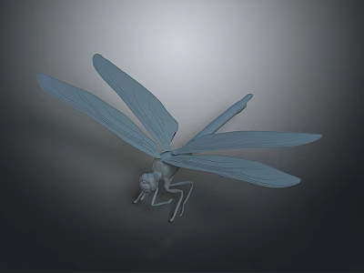 Gray Dragonfly Model With Spread Wings On Dark Background Surface 3d model
