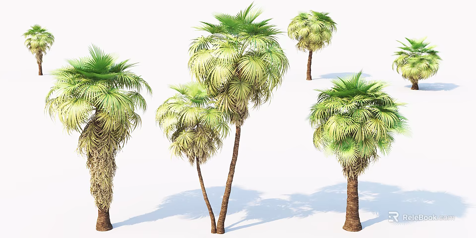 Lush Palm Trees With Green Fronds And Various Trunks In 3D Rendering 3d model 