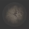 Wooden Stone Sculpture Featuring Twisted Tree Trunk On Dark Background With Smoke Effect