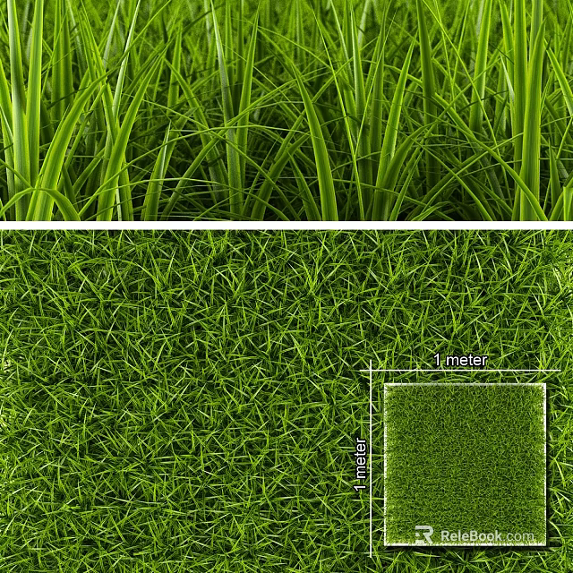 Lush Long and Dense Green Grass Varieties with 1m×1m Size 3d model 