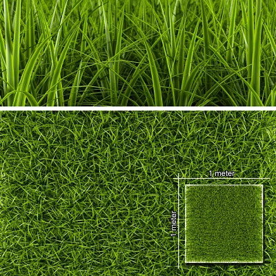 Grassland 3d model Grassland 3d model