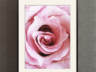 Botanical Painting of Pink Rose in Black Framed Artwork on Grey Wall 3d model