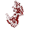 Red Molecular Structure Model With Helical Chains And Complex Coiled Structures