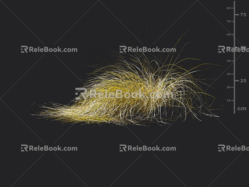 Carex sedge barley grass fescue weeds grass grass grass grass grass lawn 3d model