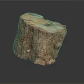 Plant Based Natural Tree Stump With Rustic Wood Texture For Home Decor