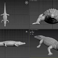 Realistic Crocodile 3D Model With Detailed Scaled Skin And Body Structure