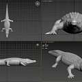 Crocodile 3d model