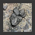 High Quality Natural Wood And Stone Decorative Materials With Rocks And Pebbles For Landscaping