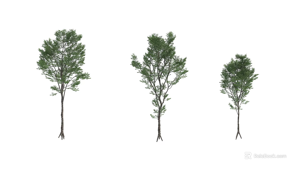 Three Arbor Trees With Different Sizes And Green Foliage For Landscape 3d model