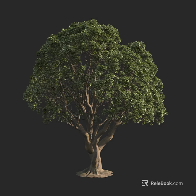 Lush Arbor With Green Foliage Strong Trunk And Natural Branch Structure 3d model 