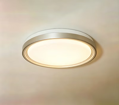 Modern Round White Flush Mount Ceiling Light With Soft Illumination Design 3d model