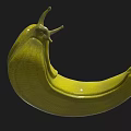 Yellow 3D Snail Model With Shiny Body And Antennae On Black Background
