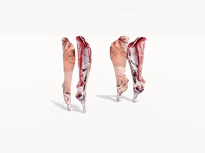 raw meat mutton 3d model