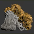 Unique Curved Tree With White Textured Trunk And Orange Yellow Leaves