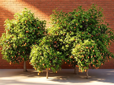 Lush Fruit Trees With Orange Fruits Against Red Brick Wall And Green Leaves 3d model