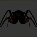 Detailed Black Ant 3D Model With Long Brown Legs On Dark Background