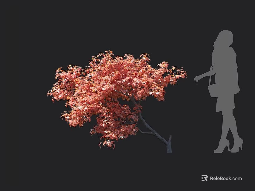 Vibrant Red Leaf Tree in Autumn with Female Silhouette on Black Background 3d model 