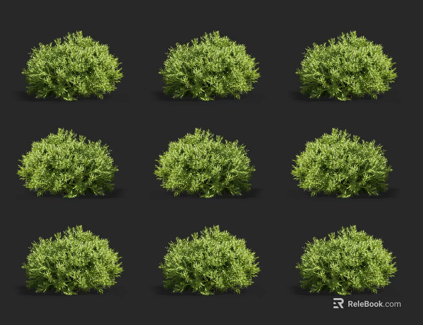 Green Shrubs With Dense Foliage In Various Shapes For Garden Landscaping 3d model 