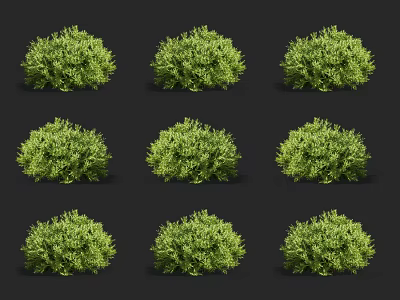 Green Shrubs With Dense Foliage In Various Shapes For Garden Landscaping 3d model