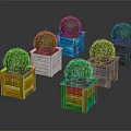 Green Spherical Topiary Plants in Colorful Wooden Boxes for Decorative