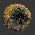 Fresh Ripe Pineapple with Green Leafy Top Orange Skin Juicy Tropical Fruit on Dark Background