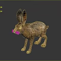 Detailed Brown Hare With Large Ears Standing On Dark Background