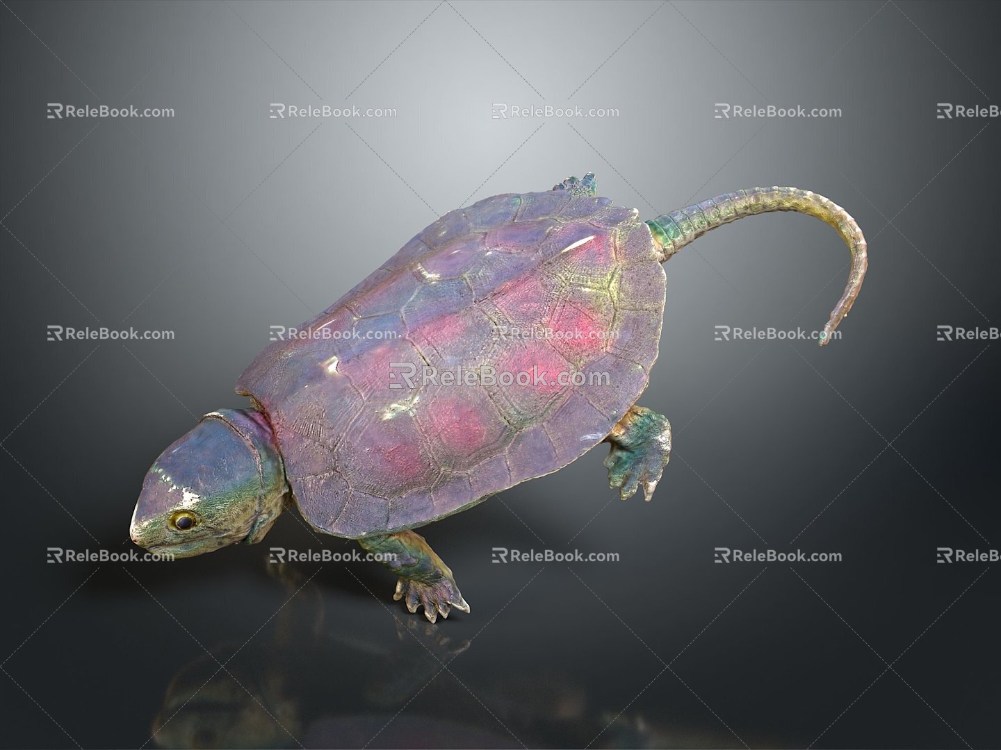 Turtle Turtle Cartoon Turtle Snapping Turtle Chickbill Turtle Reptile Cold Blooded Animal Reptile Reptile Class 3d model