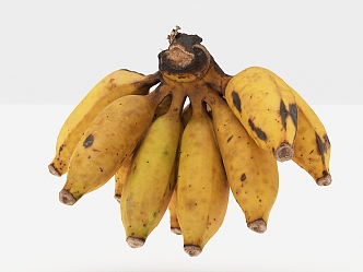 Modern Banana 3d model