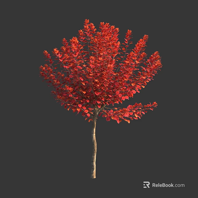 Ornamental Garden Shrub With Vibrant Red Leaves And Lush Foliage For Landscaping 3d model 