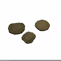 Natural Dried Plant Root Slices With Brown Round Shape And Textured Edges