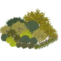Various Types of Shrubs with Green Yellow Foliage and Pink White Flowers