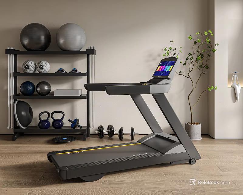 Modern Home Gym Fitness Equipment With Treadmill Exercise Balls Dumbbells And Kettlebells 3d model 