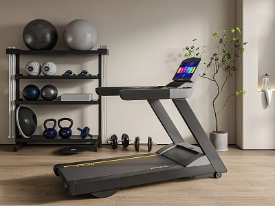 Modern Home Gym Fitness Equipment With Treadmill Exercise Balls Dumbbells And Kettlebells 3d model