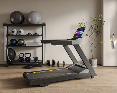 Modern Home Gym Fitness Equipment With Treadmill Exercise Balls Dumbbells And Kettlebells 3d model
