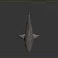 Detailed 3D Rendered Shark With Pink Gray Skin On Gray Background With Reflection