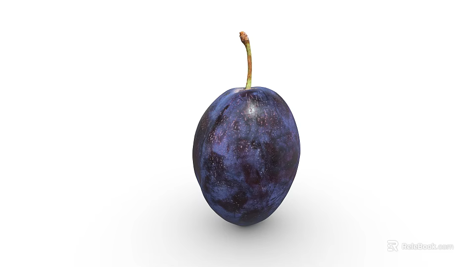 Fresh Juicy Ripe Purple Plum Fruit With Stem On White Background 3d model 