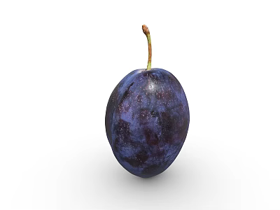 Fresh Juicy Ripe Purple Plum Fruit With Stem On White Background 3d model