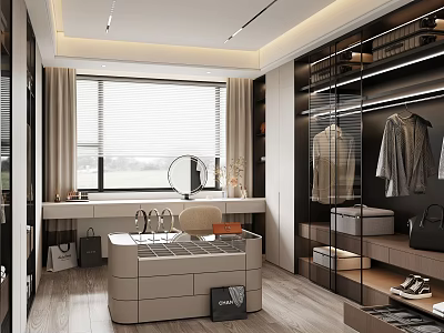 Modern Walk-in Closet Interior Design With Hanging Area Storage Drawers And Mirror 3d model