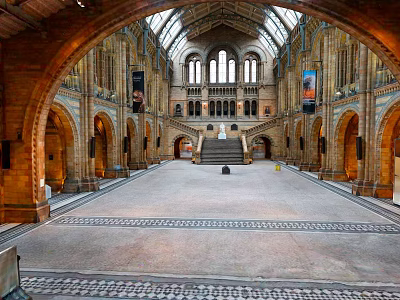 Grand Building Interior With Arched Structures High Ceiling Stained Glass Ornate Staircase And Stone Floor 3d model