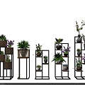 Varied Potted Plants On Wooden And Metal Plant Stands With Green And Purple Foliage