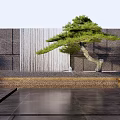 Garden Feature Wall With Stone Cladding Water Curtain And Bonsai Pine Decoration