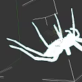 Aquatic Spider With Long Legs And Brown Body In Underwater Habitat