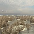 Wetland Garden Landscape with Dry Reeds Icy Water Surface Flying Birds and Distant Mountains