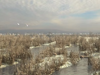 Wetland Garden Landscape with Dry Reeds Icy Water Surface Flying Birds and Distant Mountains 3d model